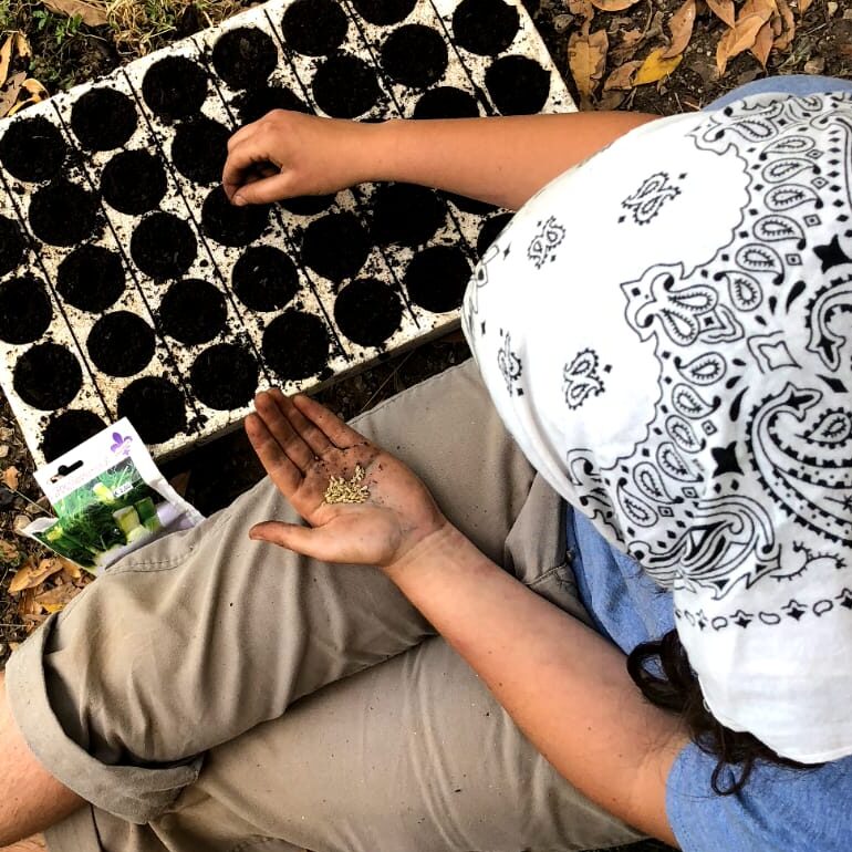 A photo looking down on someone wearing a white bandana and sitting on the ground, next to a seedling tray filled with soil. They hold a handful of seeds in one hand and their other hand is dropping a seed into one of the cells.