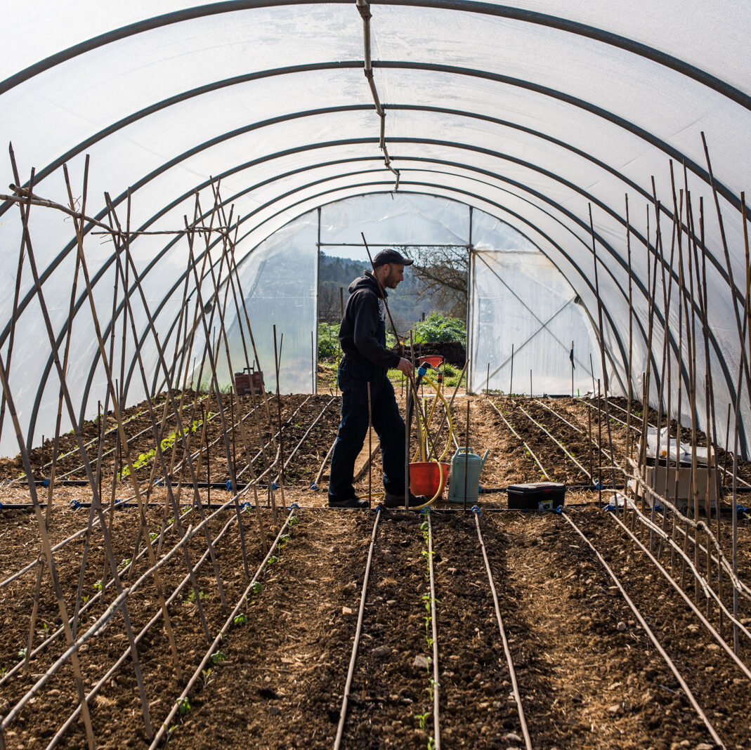 A man, Yago, in the middle of a greenhouse between rows of newly planted tiny seedlings. He is in profile, surrounded by garden equipment, and homemade trellises line the rows. 