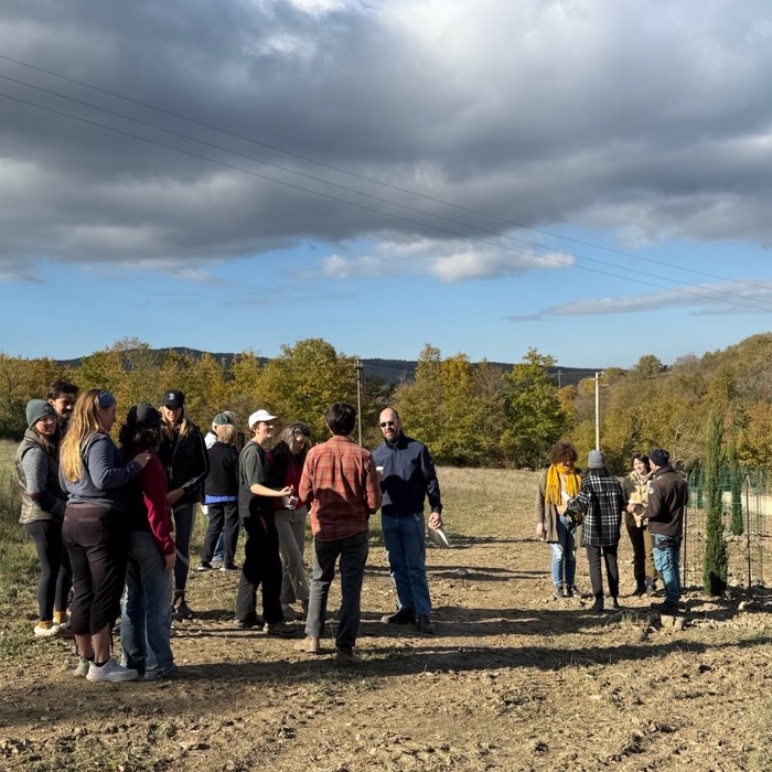 Staff and interns mingle and socialize among the cypress trees.